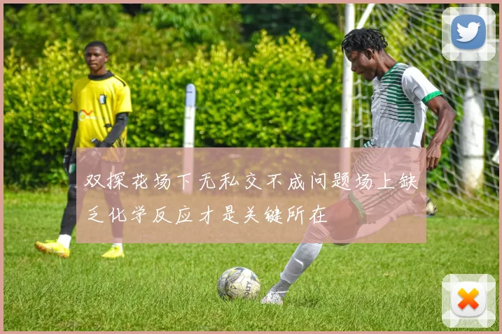 双探花场下无私交不成问题场上缺乏化学反应才是关键所在