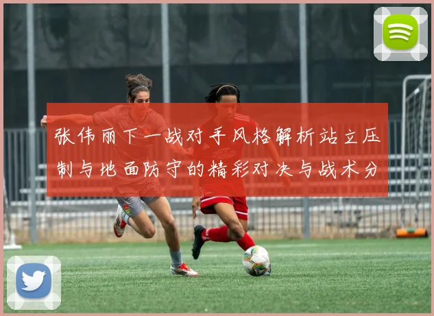 张伟丽下一战对手风格解析站立压制与地面防守的精彩对决与战术分析